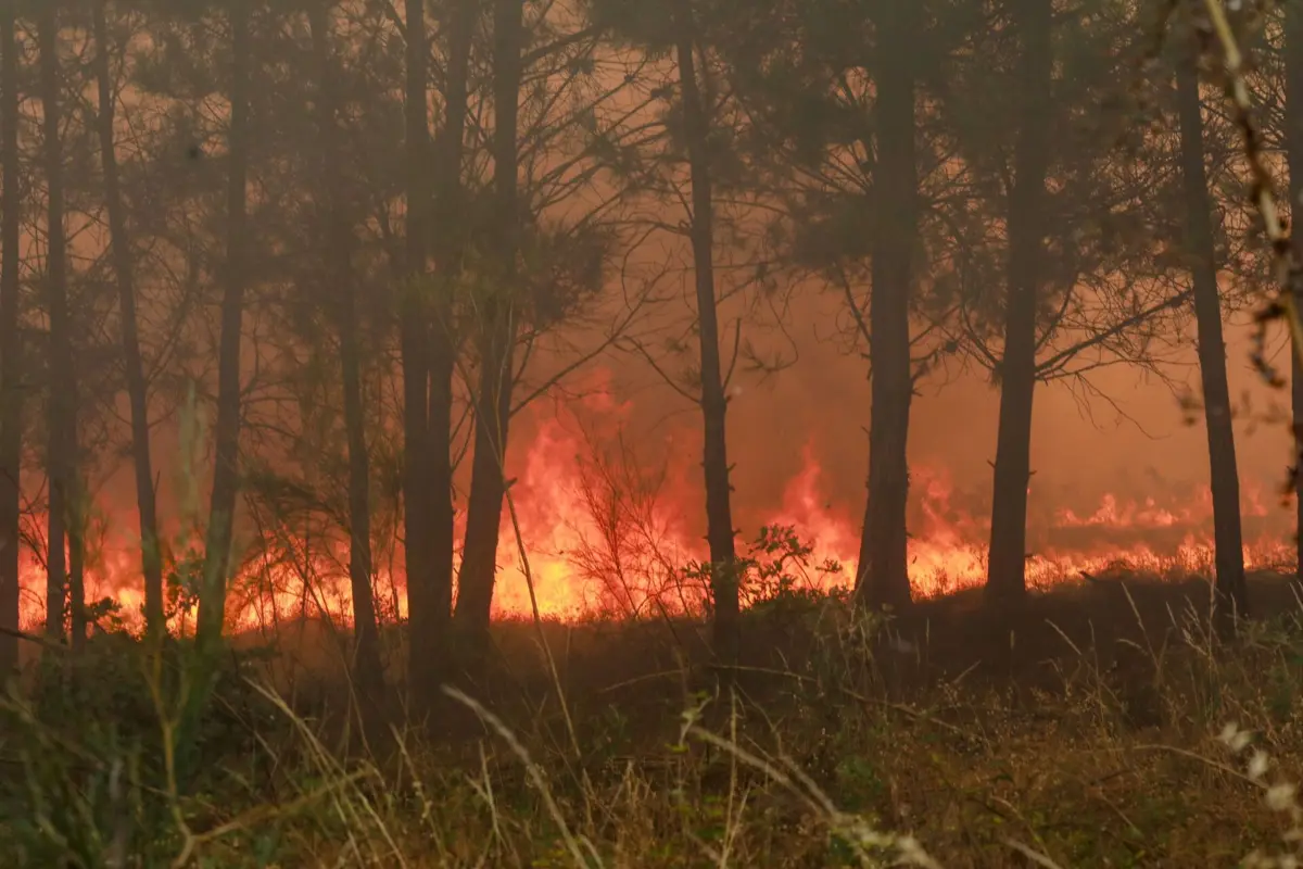 A frente de fogo estava a progredir "com alguma intensidade"
