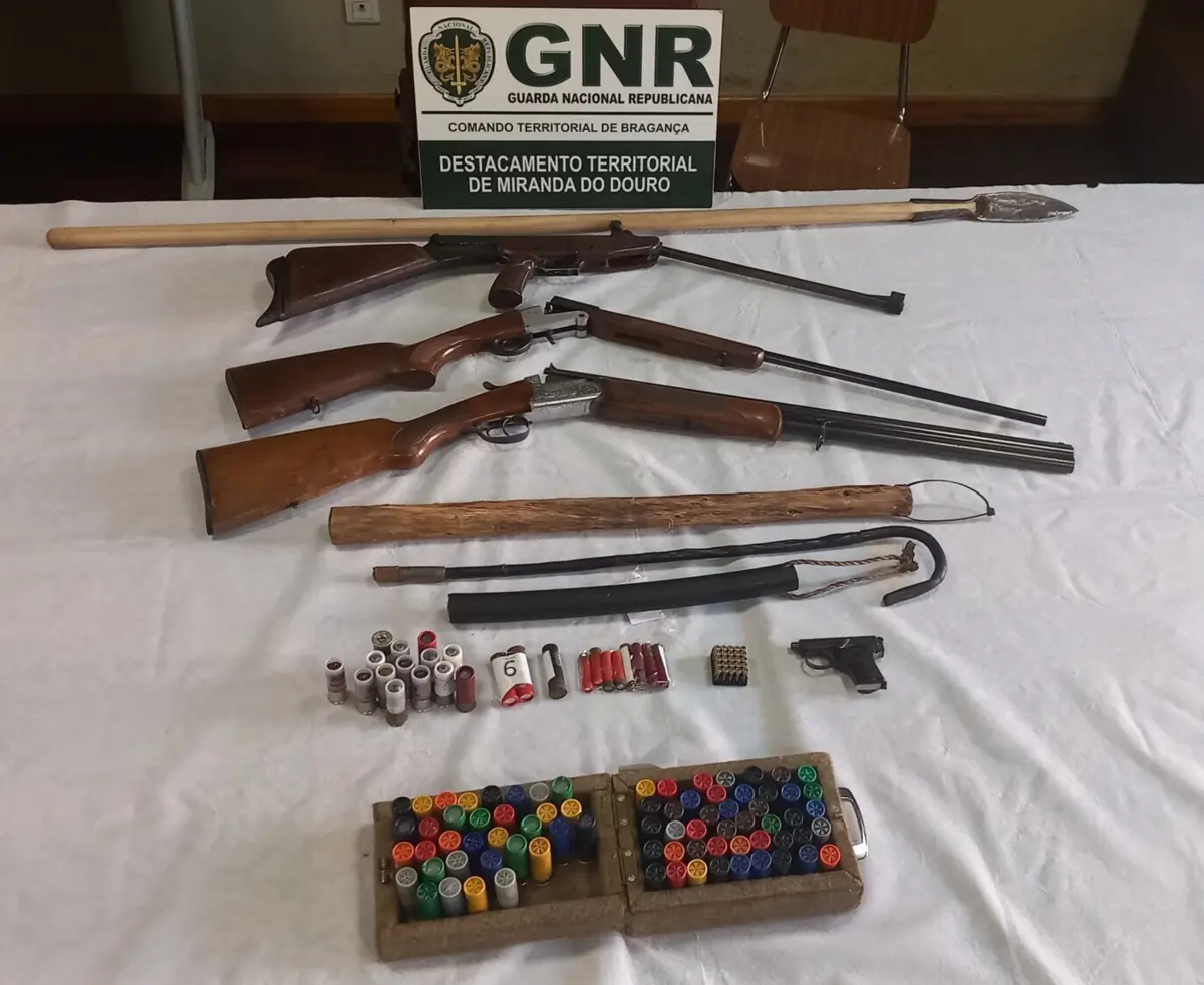 Imagem de contexto do artigo Detido em Mogadouro por posse de várias armas proibidas