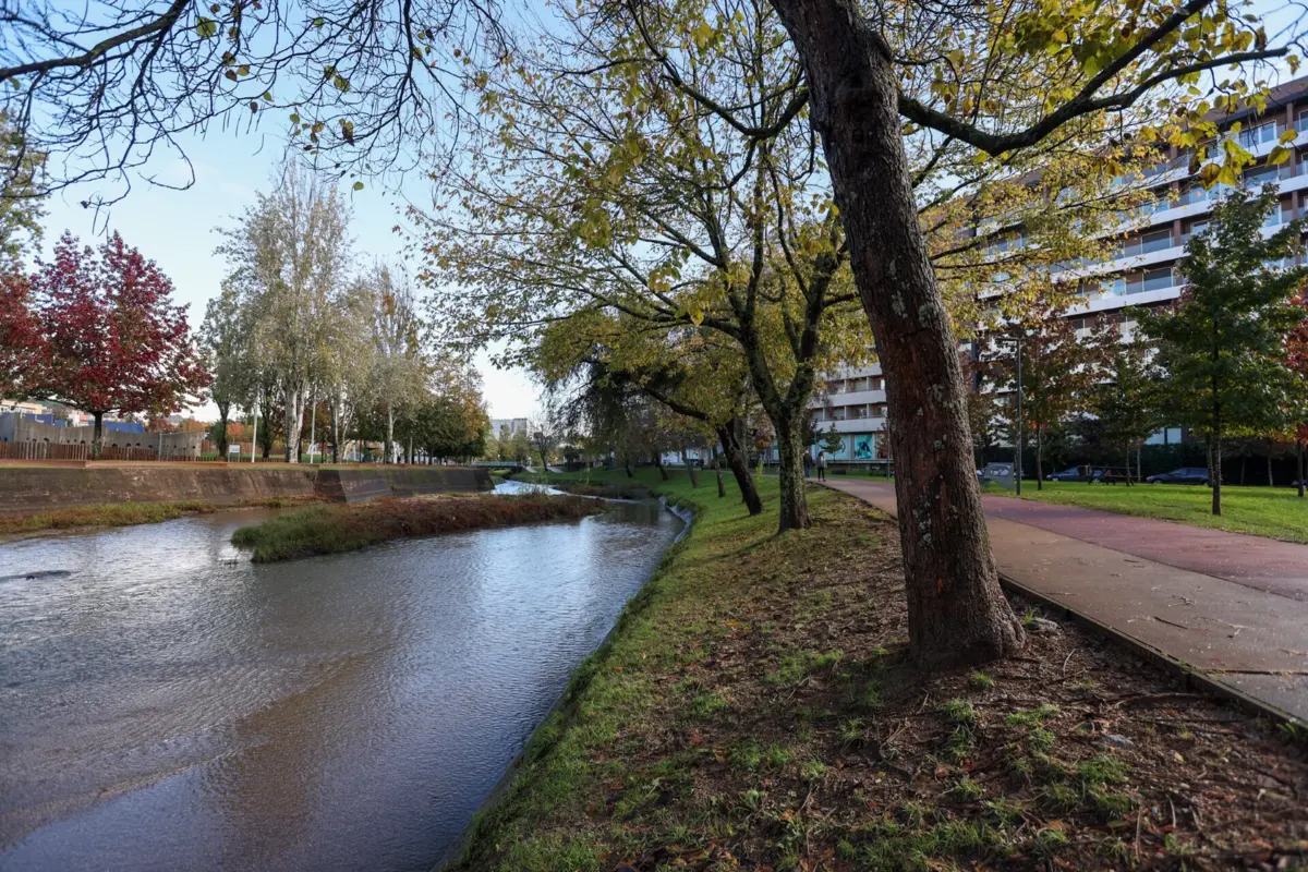 Secretário de Estado do Ambiente visita intervenção no Rio Este em Braga
