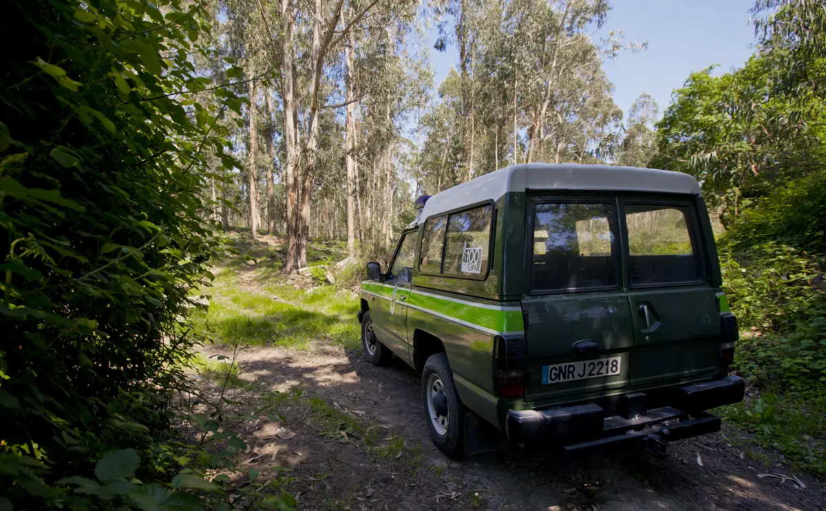 GNR apreendeu várias peças em ouro que tinham sido roubadas