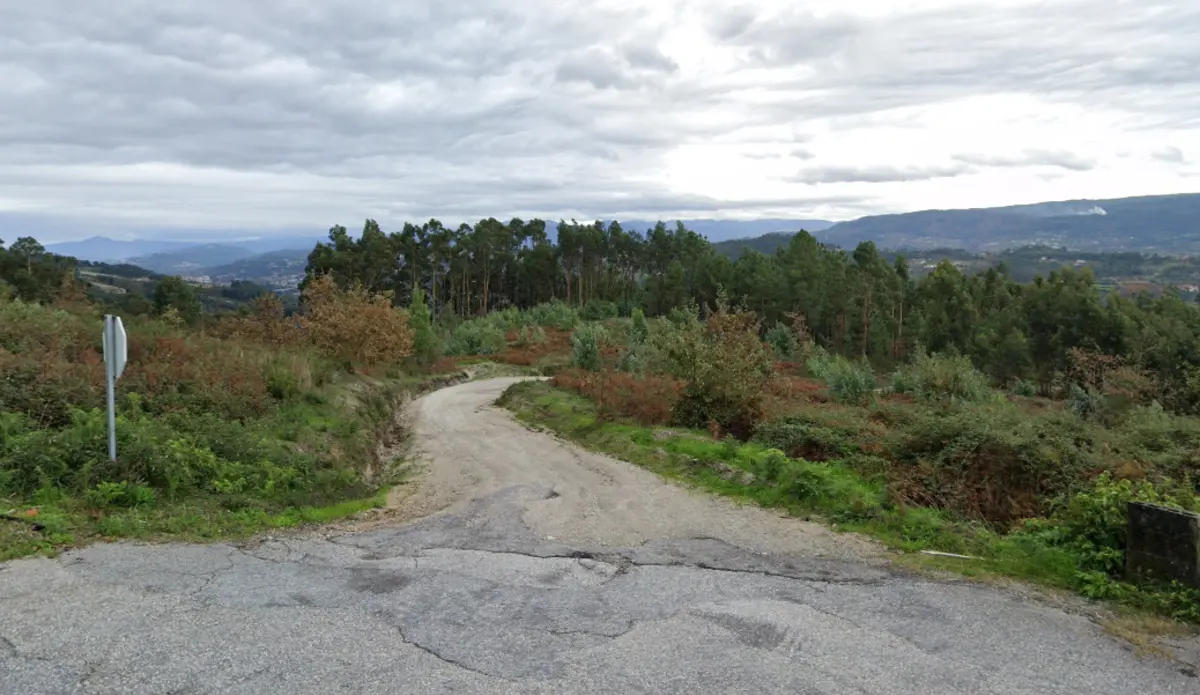 Local onde foram encontradas as ossadas fica perto da estrada nacional que liga Amarante ao Marco de Canaveses