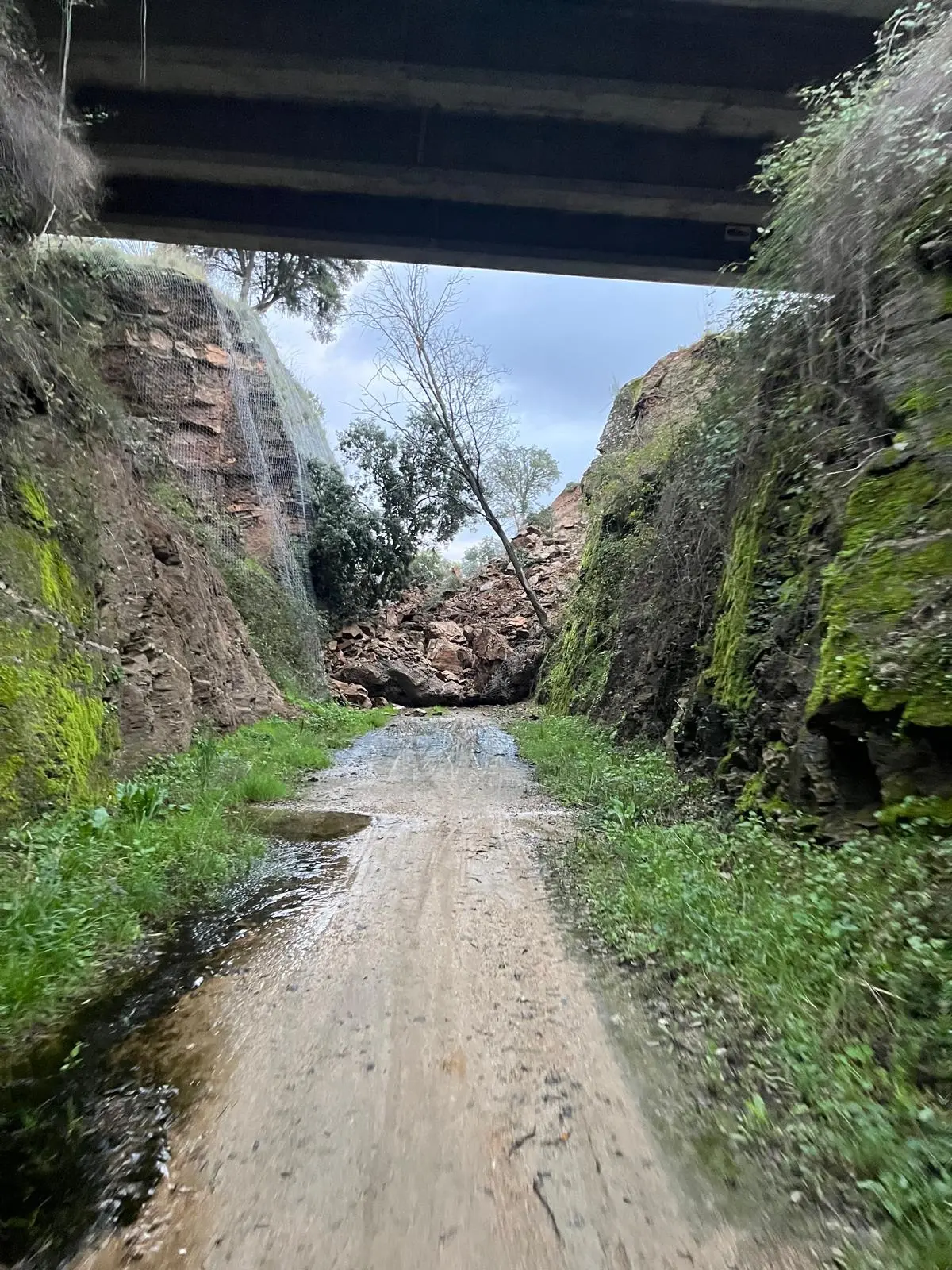 Imagem de contexto do artigo Deslizamento de terras obriga ao corte da ecopista de Mirandela