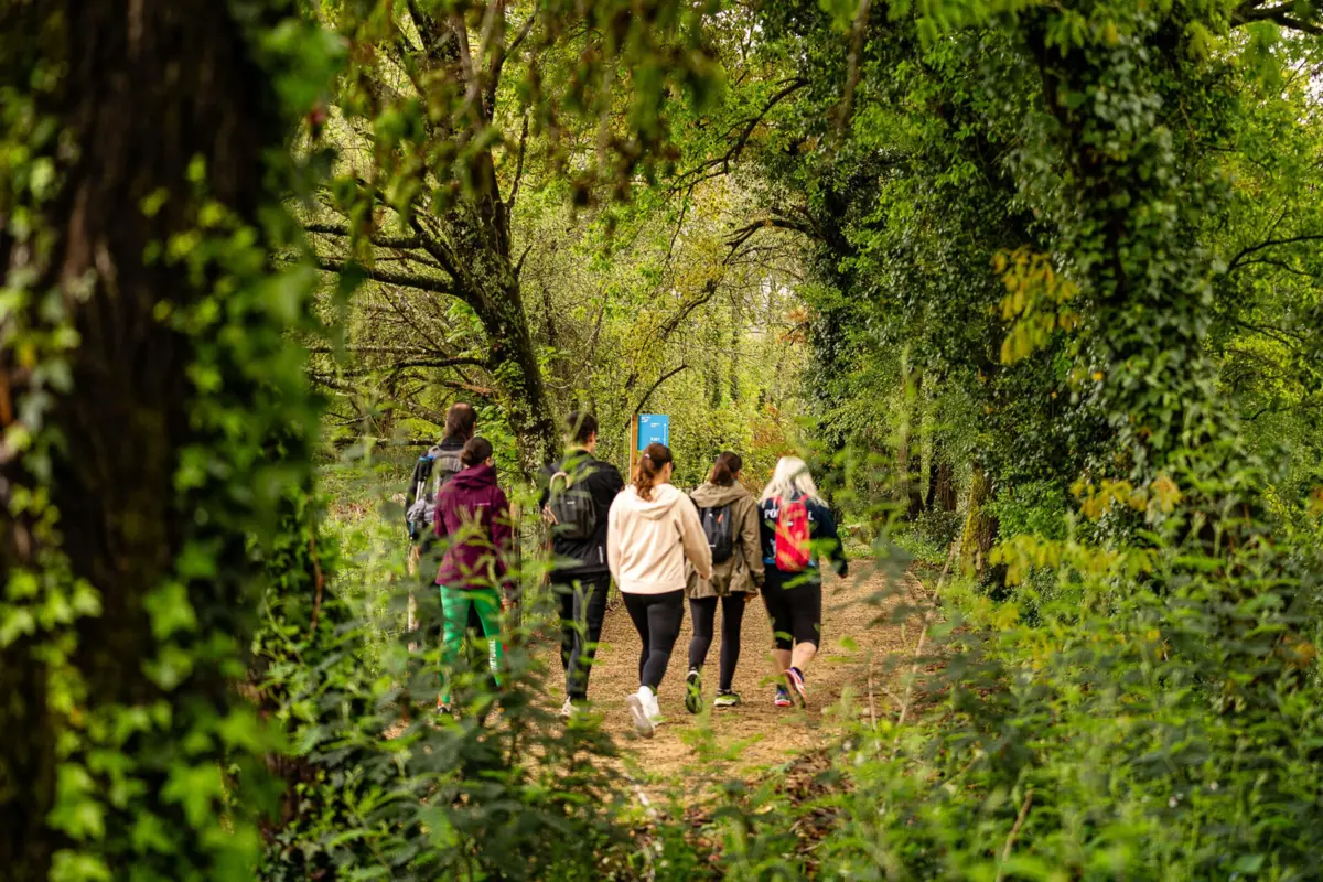 O traçado passa por quintas de produção de vinho, parques de lazer, observatórios e zonas de passadiço