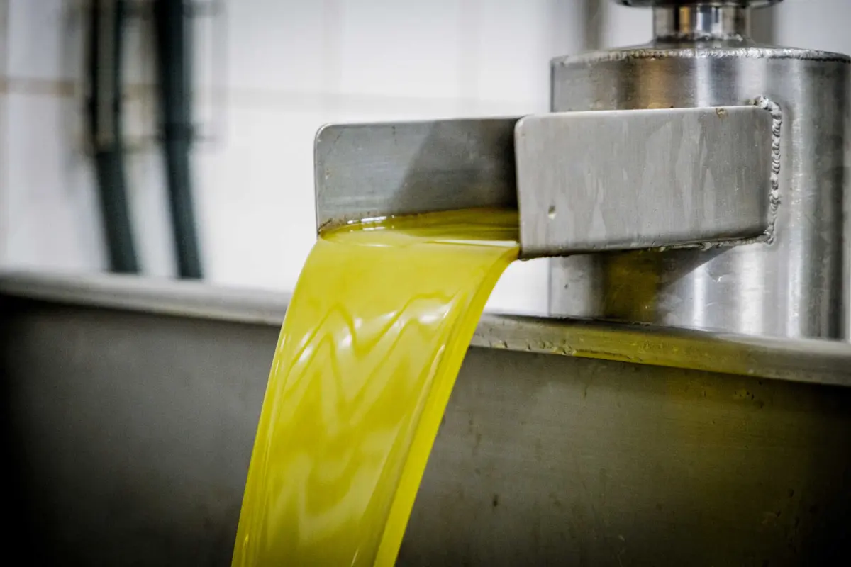 Produto apreendido tinha a falsa indicação de "azeite virgem"