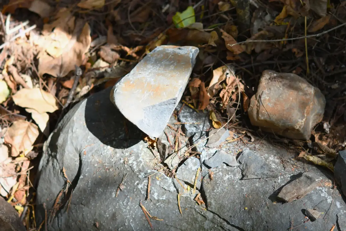 As ferramentas de pedra eram enterradas junto das mulheres e das crianças com a mesma probabilidade do que junto dos homens