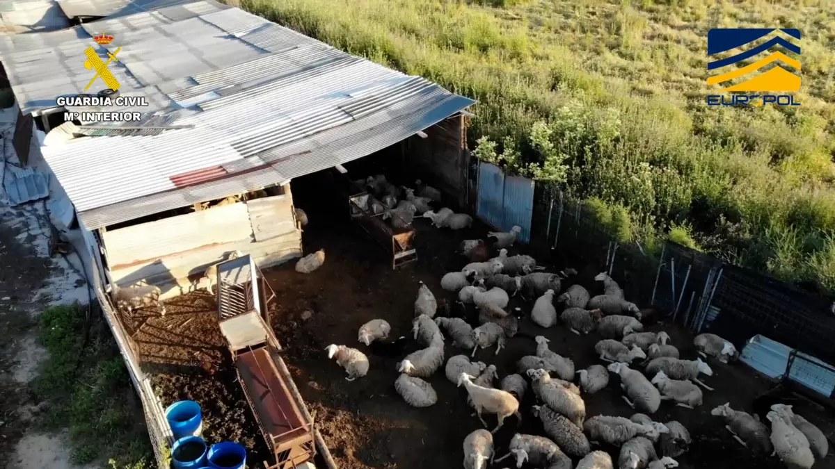 Foram detidas cinco pessoas e identificadas outras 12