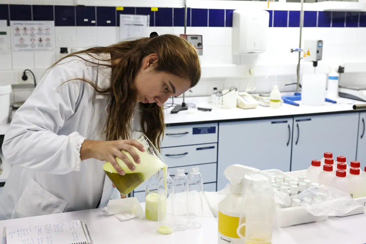 Imagem de contexto do artigo Sustentabilidade faz-se com energia verde, realidade aumentada e resíduos que dão em detergentes