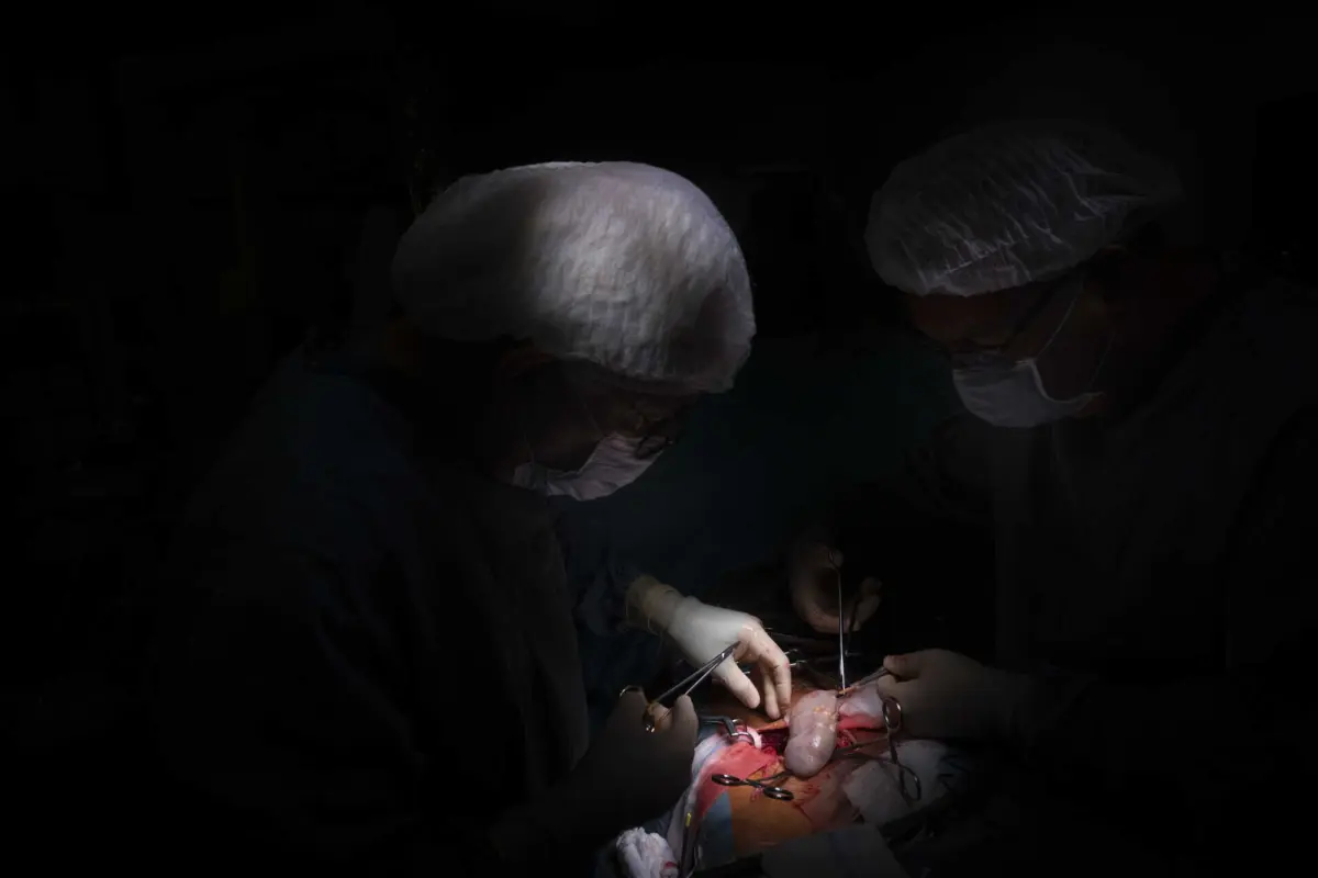 Imagem de contexto do artigo Portugal transplantou o maior número de órgãos de sempre em 2023