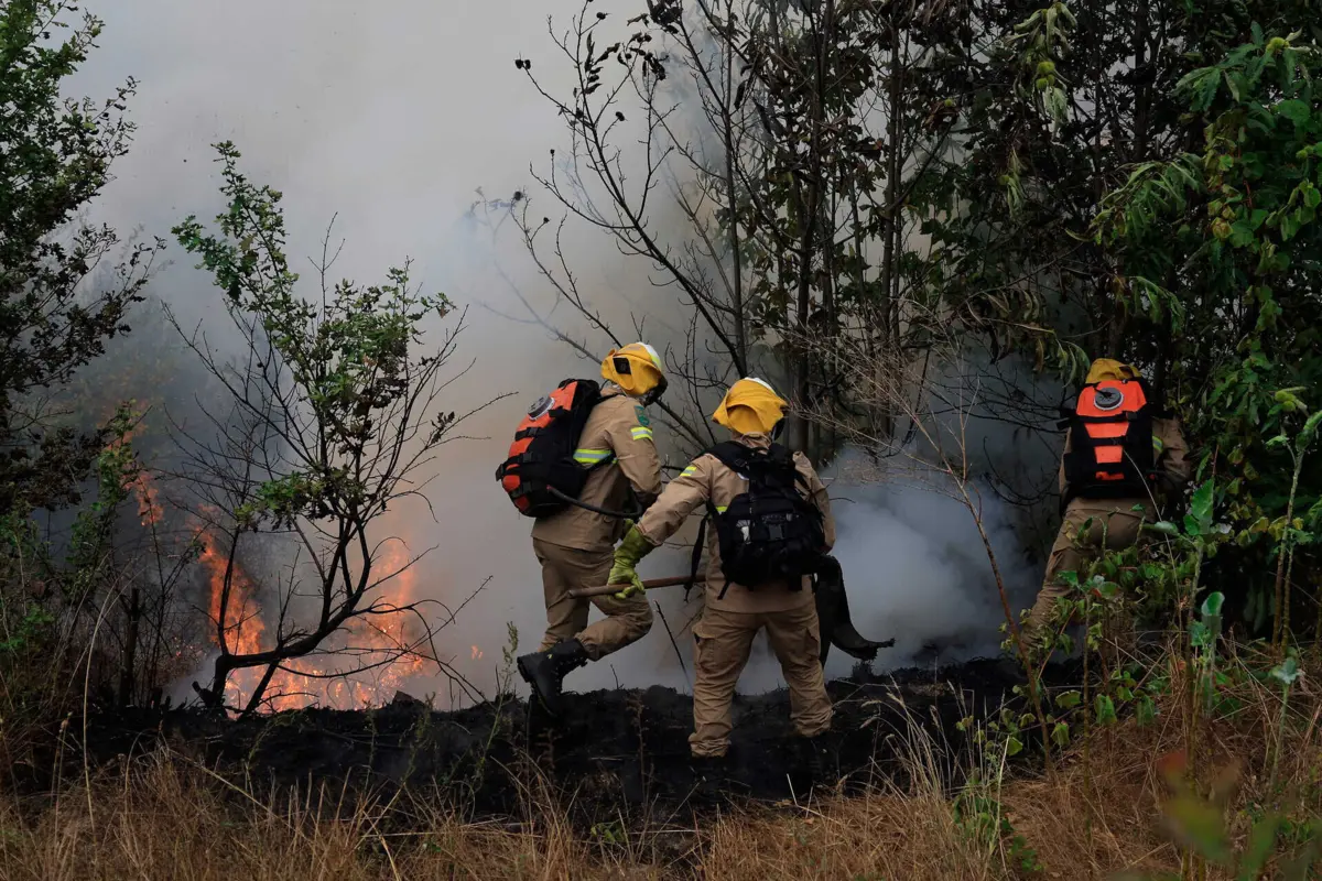 Desde domingo que Porugal está a ser afetado por graves incêndios
