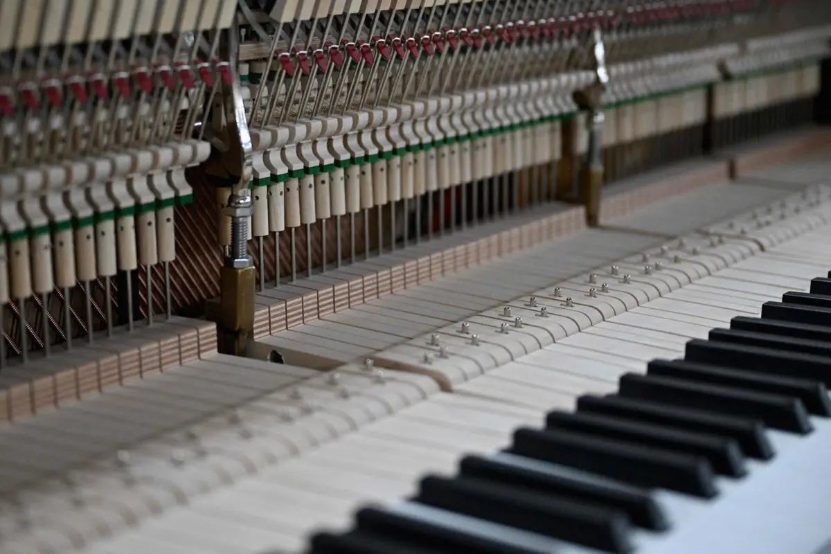 Centenas de opositores enfrentam acusações criminais e milhares foram multados ou detidos