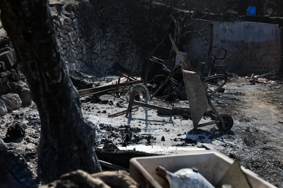 Incêndios comprometem resultados do ano, avança associação que representa hotéis, alojamentos e restaurantes