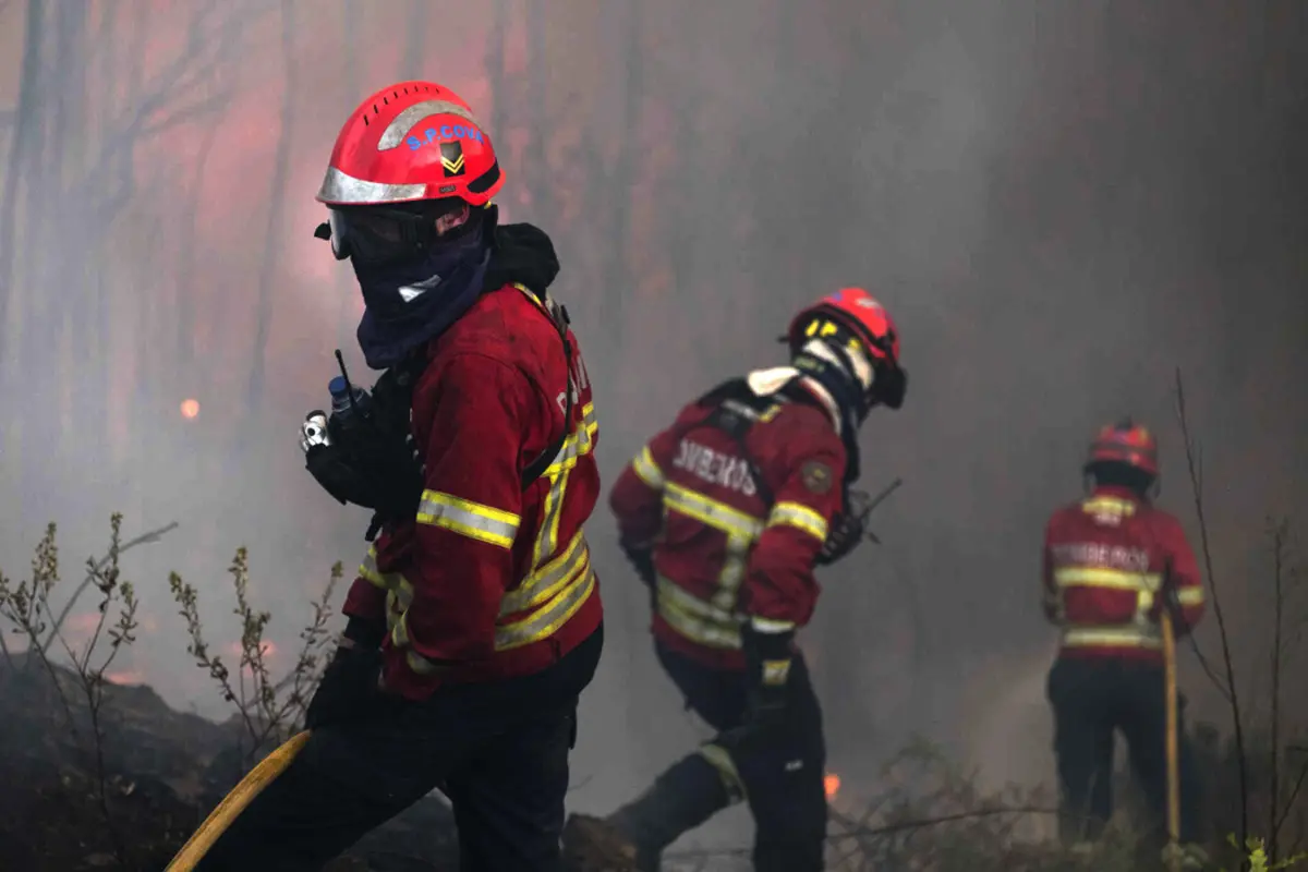 Bombeiros impediram propagação do incêndio e maiores danos