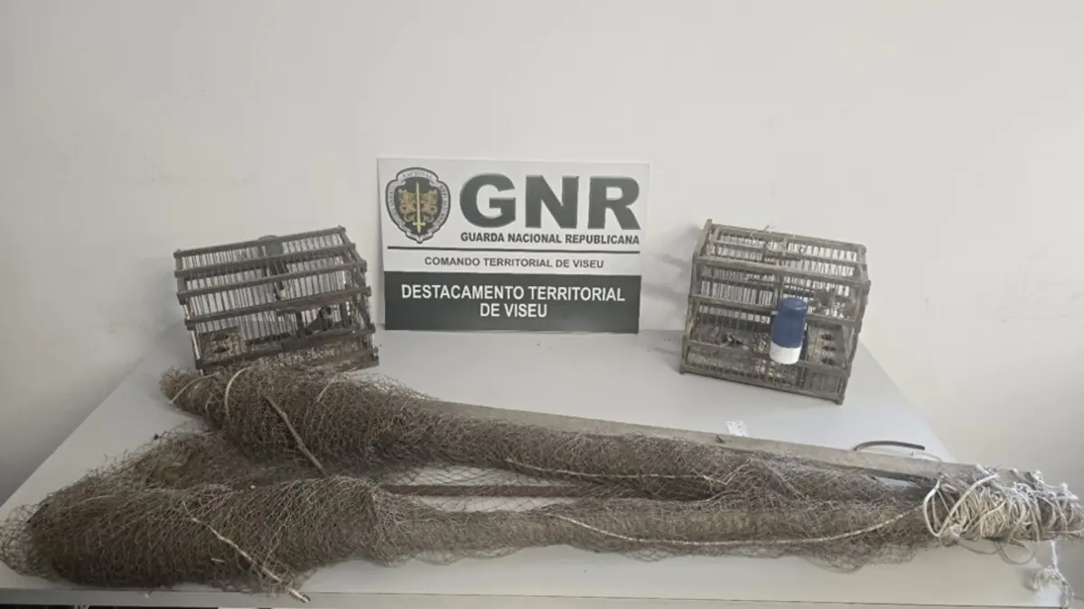 GNR apreendeu rede e duas gaiolas, usadas na caça ilegal de pássaros