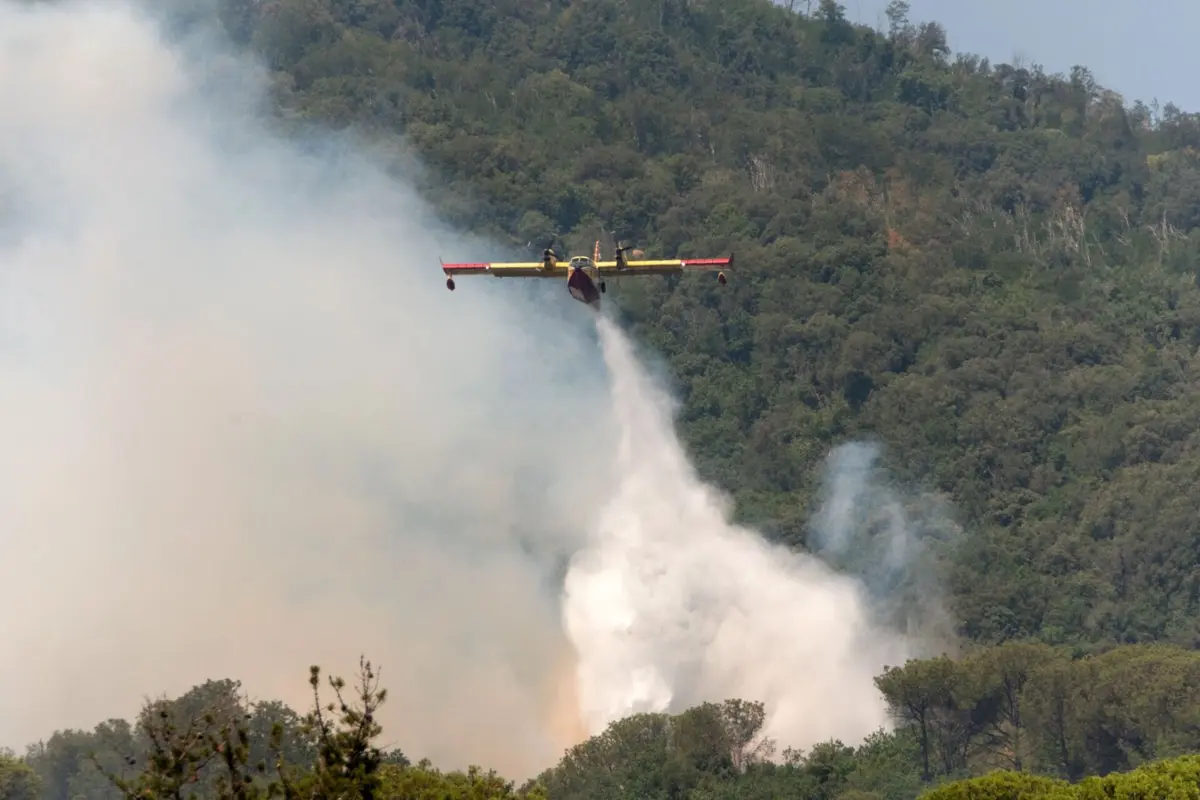 Os aviões pesados de combate a incêndios florestais Canadair de que Portugal dispõe estão fora de serviço