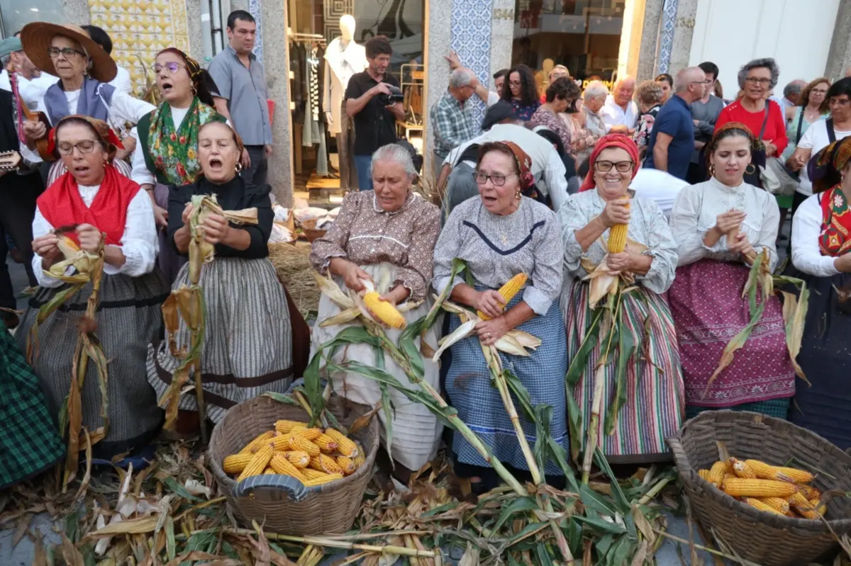 Imagem de contexto do artigo Cinco escolhas com vista para a criatividade