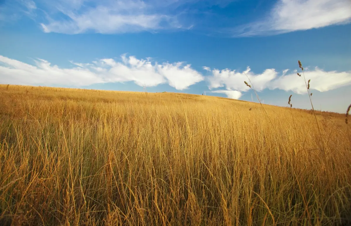 Imagem de contexto do artigo Baião: aqui, o turismo verde é ouro
