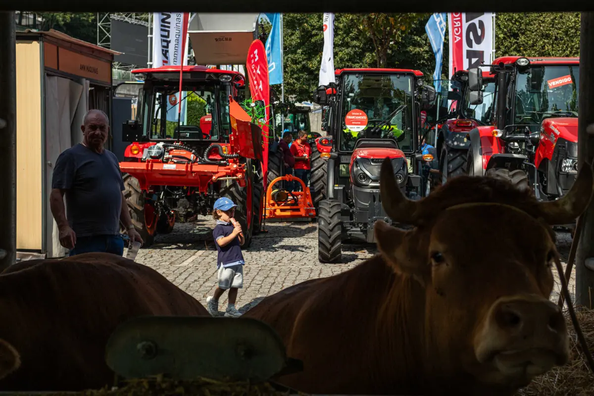 Alma da Agrival está num socalco onde se vendem animais e máquinas agrícolas