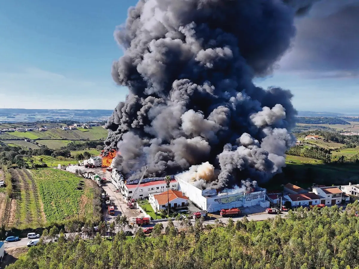 Plástico das embalagens das frutas poderá ter potenciado as chamas