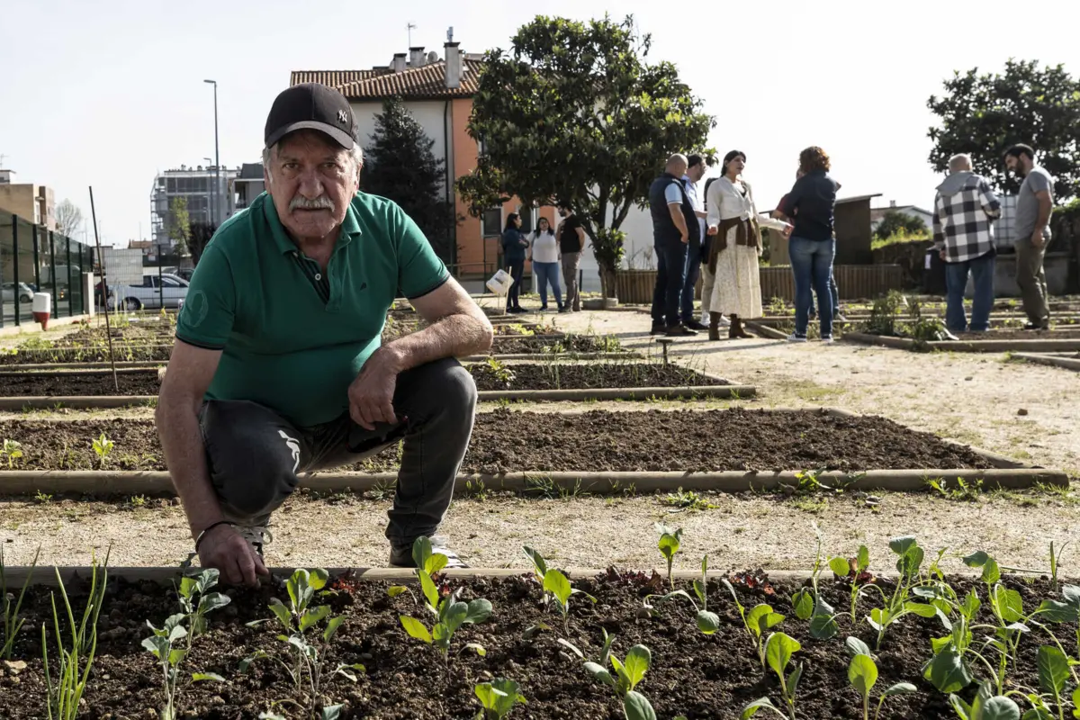A pequena horta de Carlos Félix dá-lhe convívio diário, para além de hortícolas frescas e biológicas