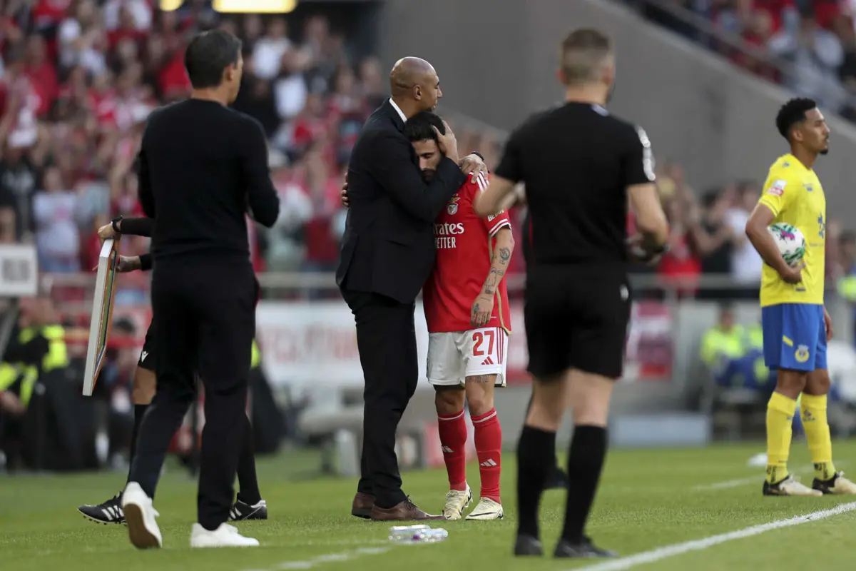 Luisão é diretor técnico do Benfica