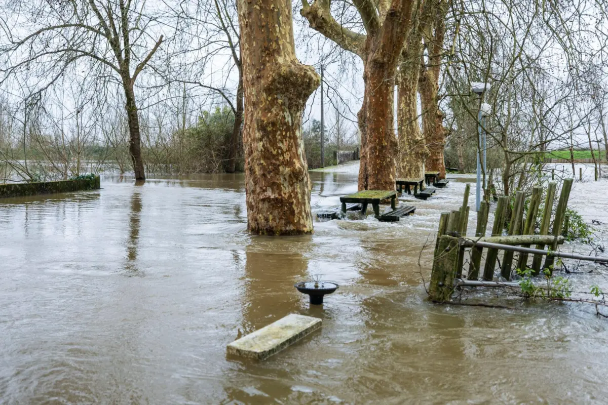 São Martinho de Árvore, em Coimbra, foi uma das localidades afetadas pelo mau tempo