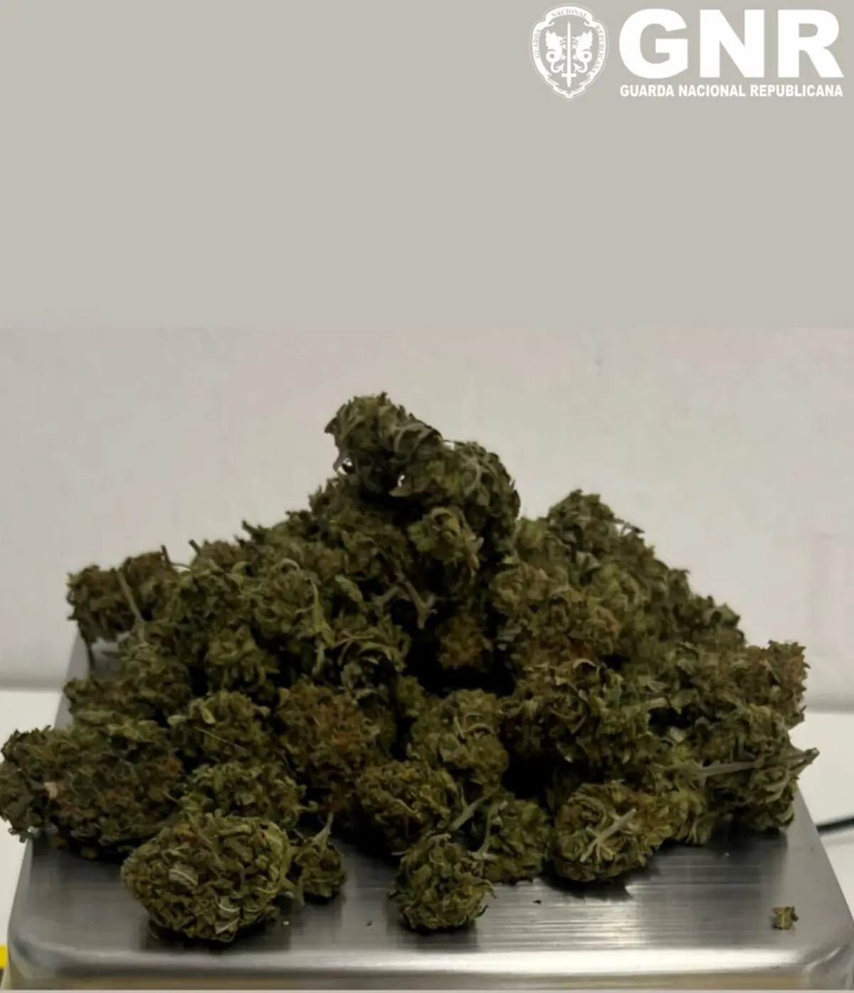 Suspeito tinha haxixe no carro