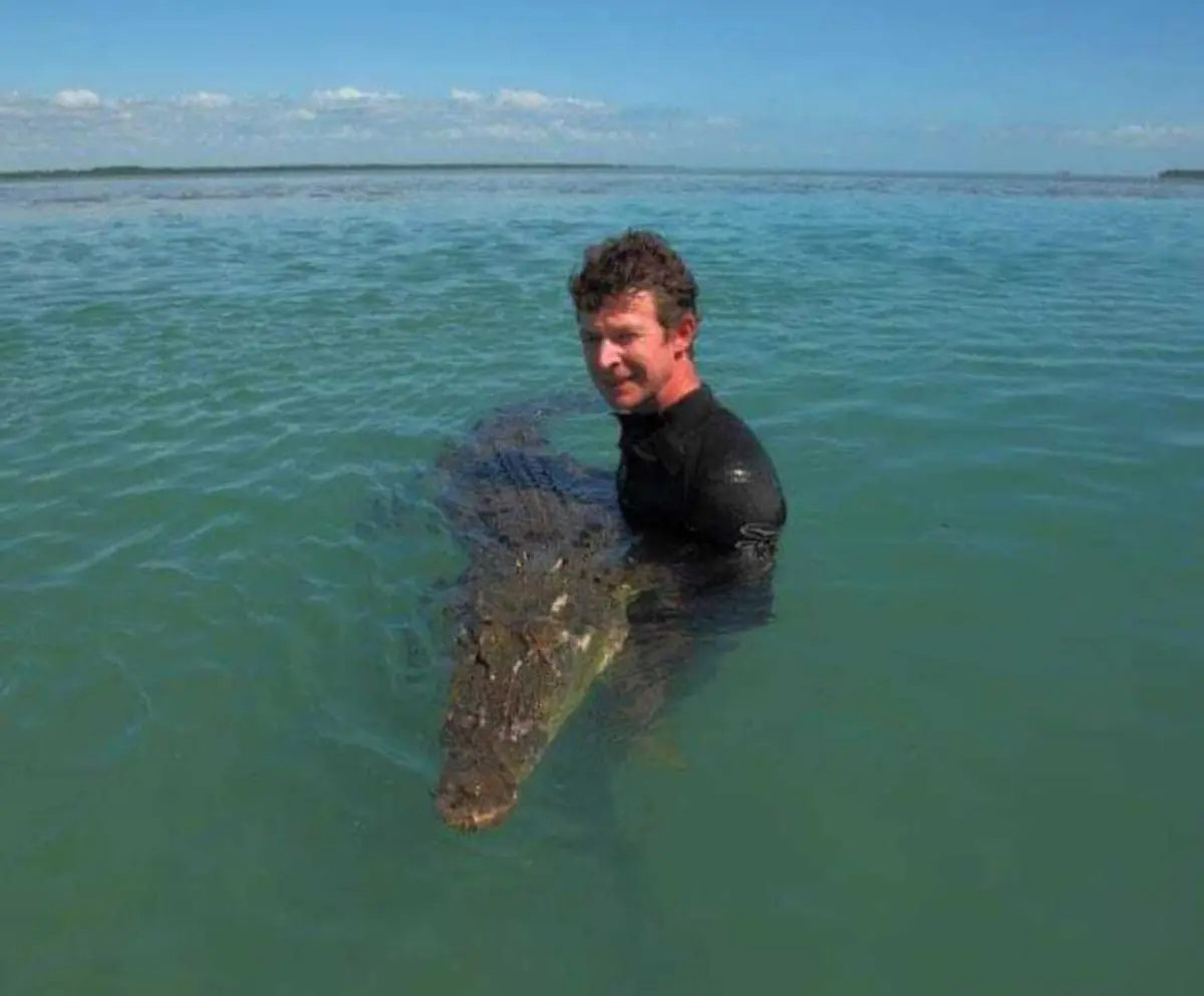 Especialista em crocodilos assumiu interesse sádico por animais