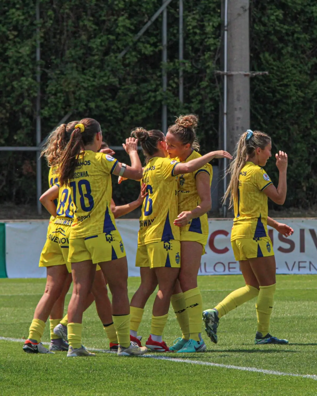 Jogadoras do Valadares Gaia sagraram-se campeãs