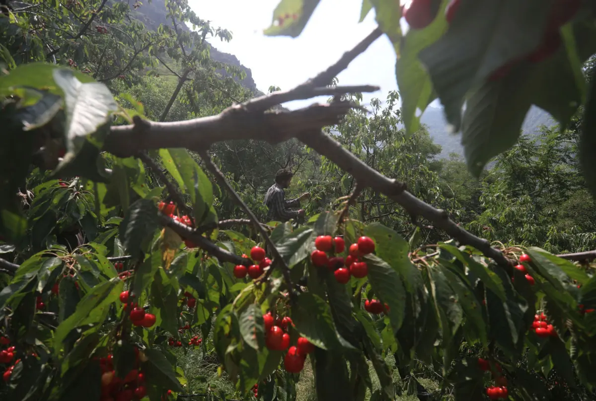 No ano passado o Dia da Sobrecarga do Planeta foi a 1 de agosto