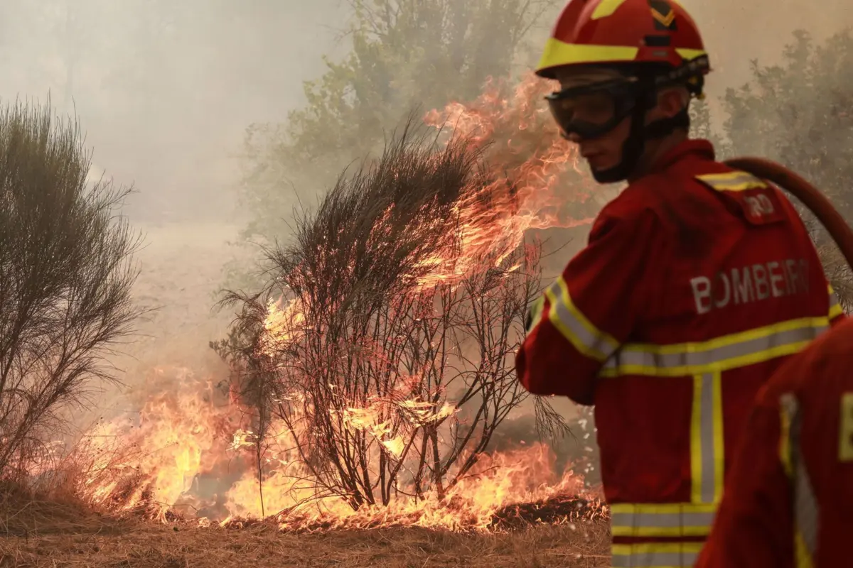 O autarca disse faltarem meios para combater o incêndio