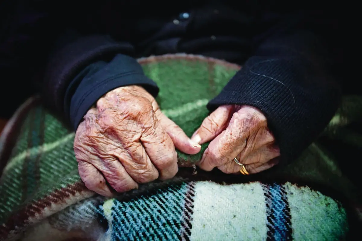 Programa terá a duração de dois anos com fundos europeus