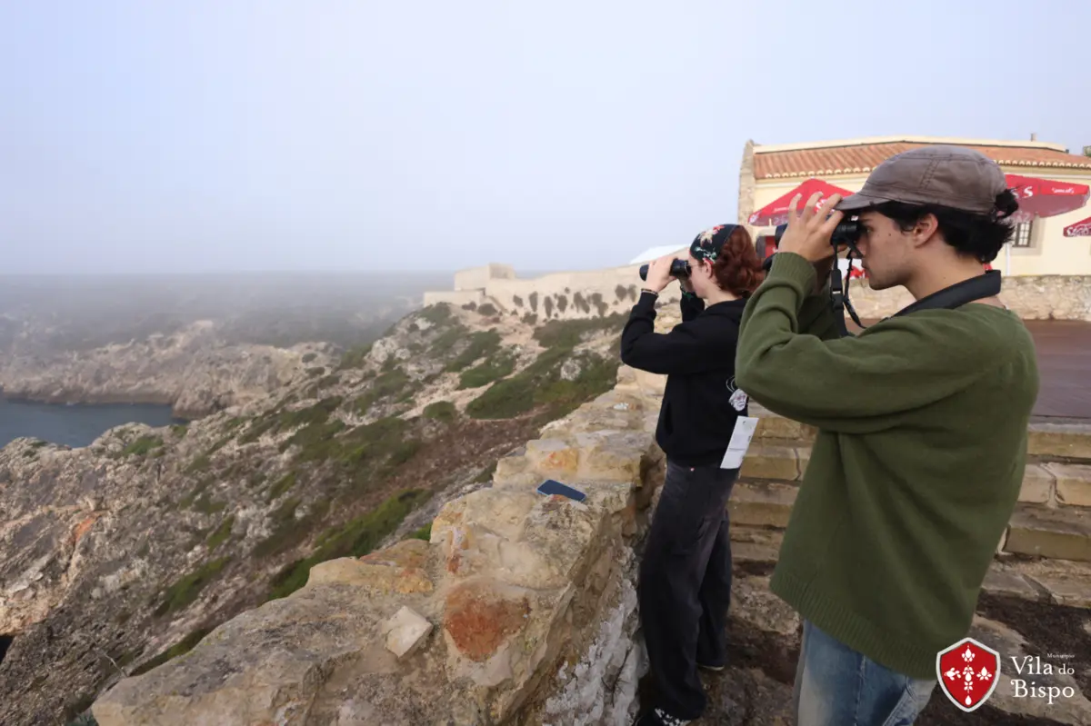 Centena e meia de espécies cruzam o céu do Algarve