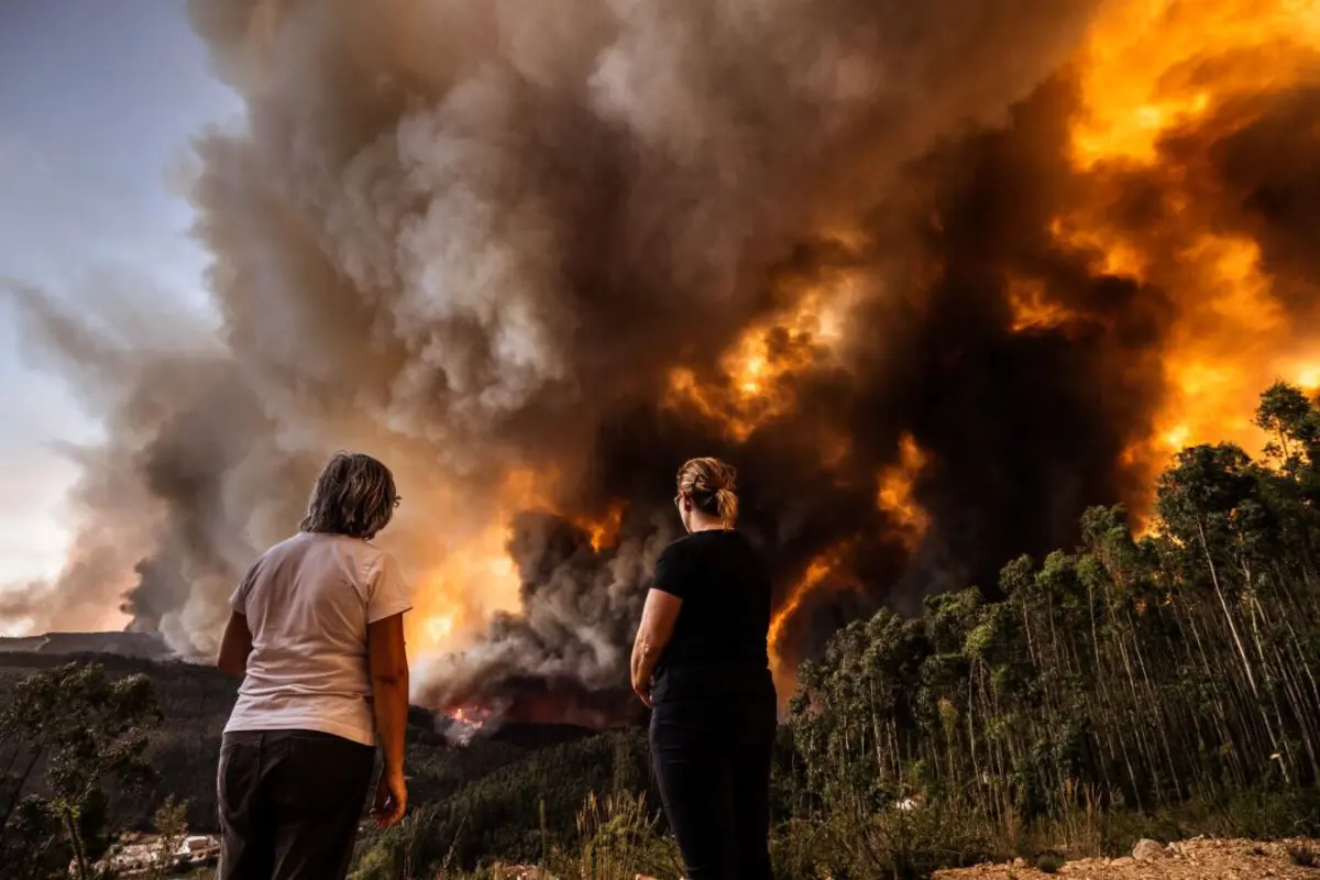Gestão do risco de incêndios florestais é uma das vertentes do programa