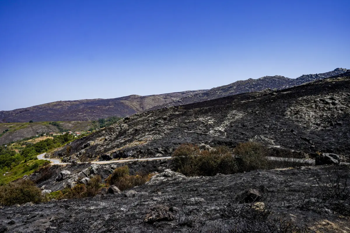 Incêndios afetaram parte do parque nacional