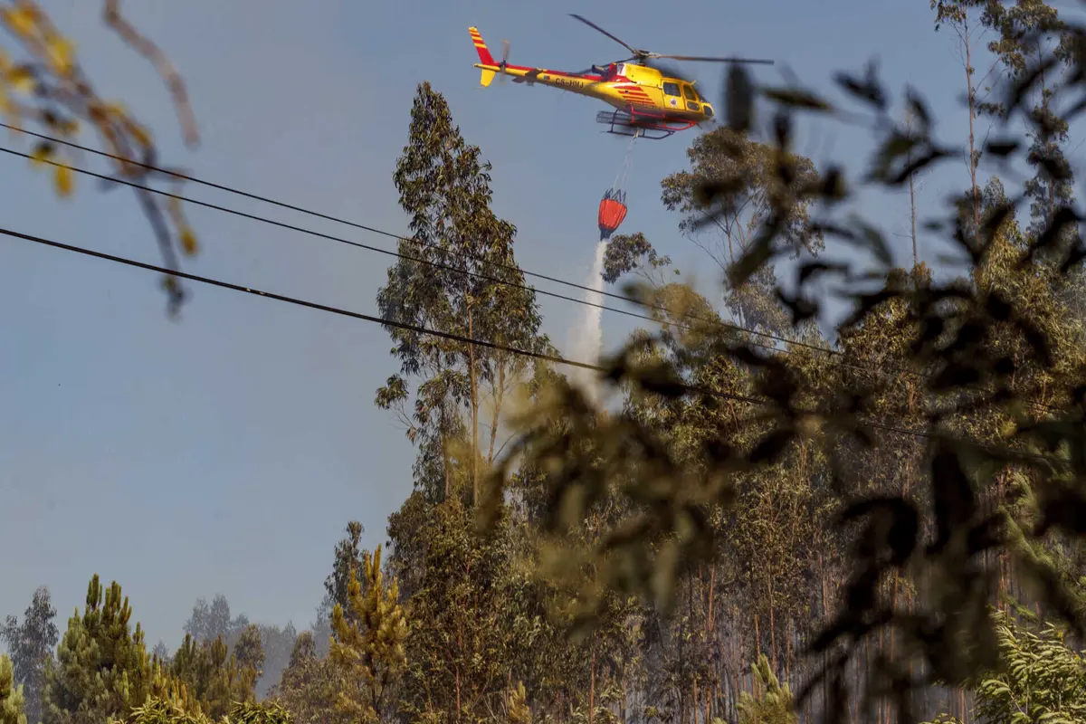 Incêndio em Ponte da Barca deflagrou no sábado á noite