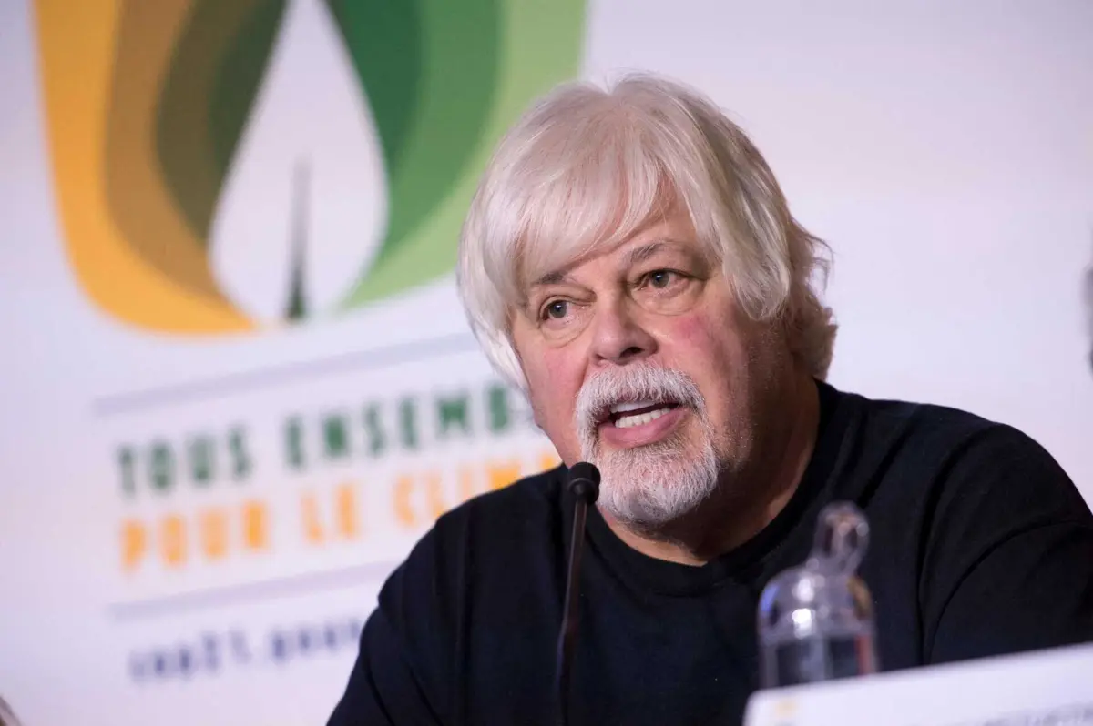 Imagem de contexto do artigo Ativista contra a caça de baleias detido na Gronelândia