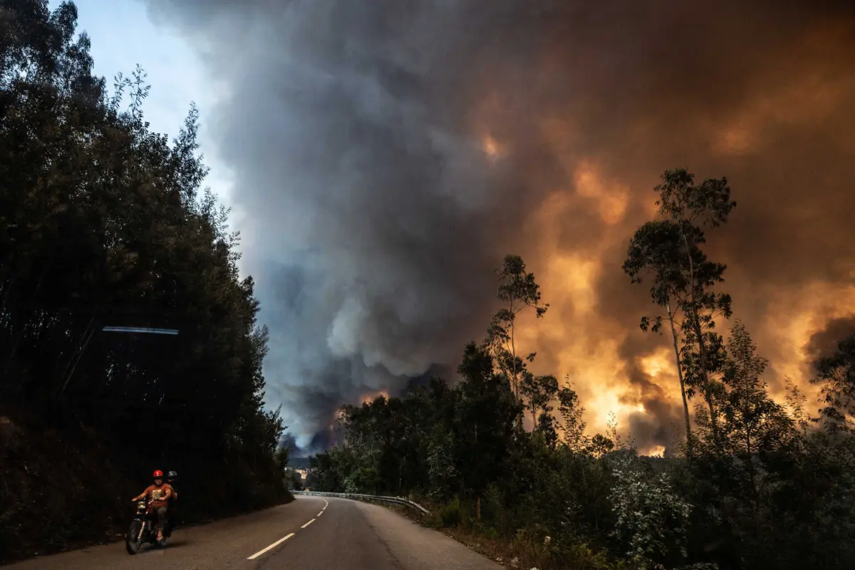 O detido será apresentado a primeiro interrogatório judicial para aplicação de medidas de coação