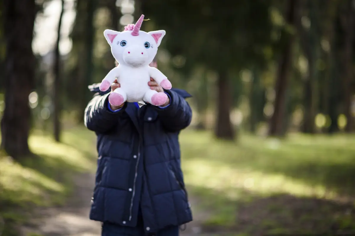 Medidas de coação ainda não são conhecidas