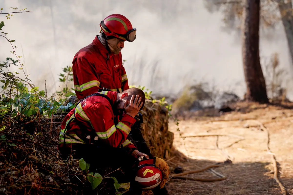 Mais de 290 operacionais estiveram envolvidos no combate ao incêndio esta manhã