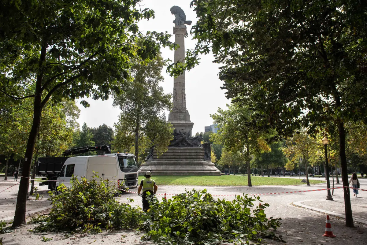 Árvores no interior da rotunda seão alvo de manutenção entre 22 de janeiro e 2 de fevereiro