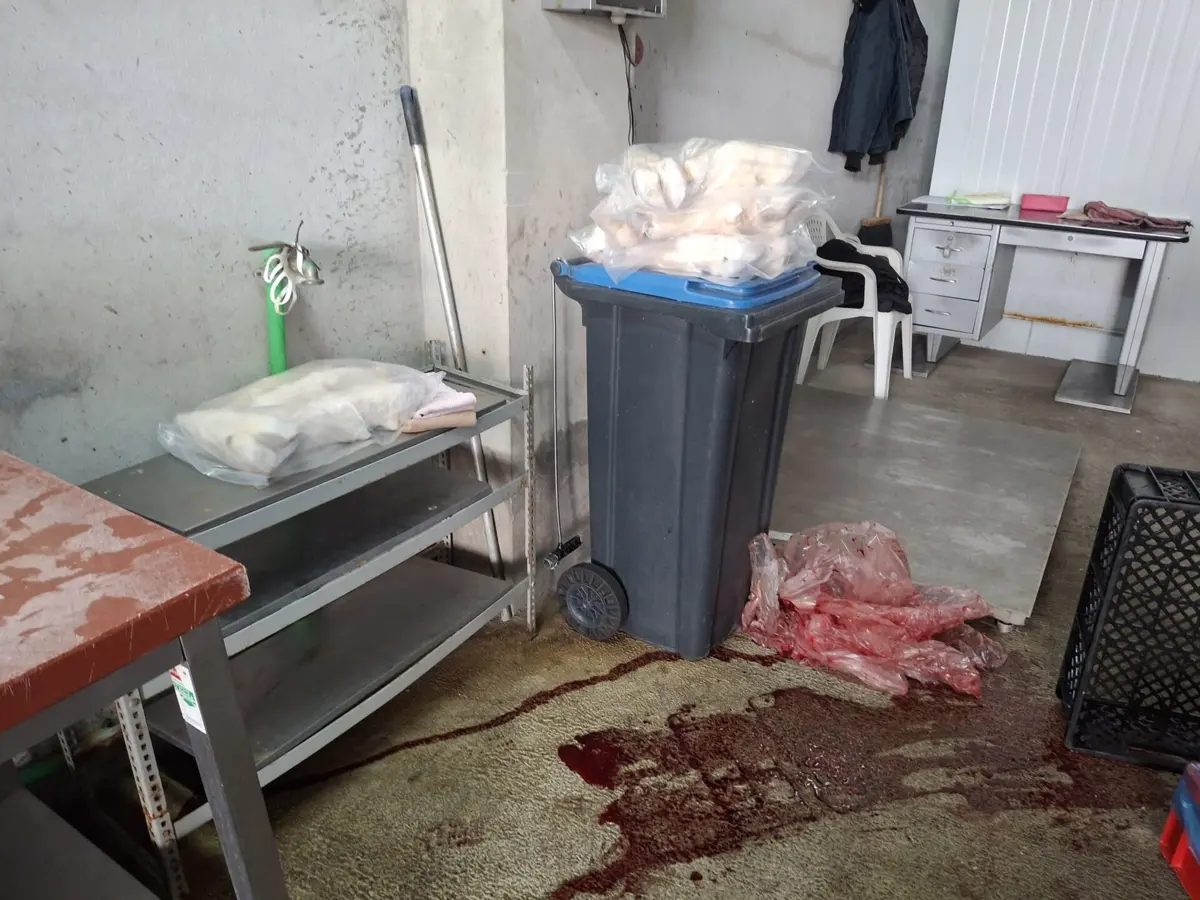 Nos três estabelecimentos foi detetada a "inexistência de licenciamento para a atividade"