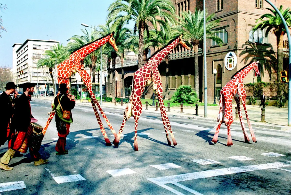 "Girafes", espetáculo da companhia Xirriquiteula Teatre: para ver este sábado às 17.45 horas, e no domingo às 10.30 e às 15 horas.