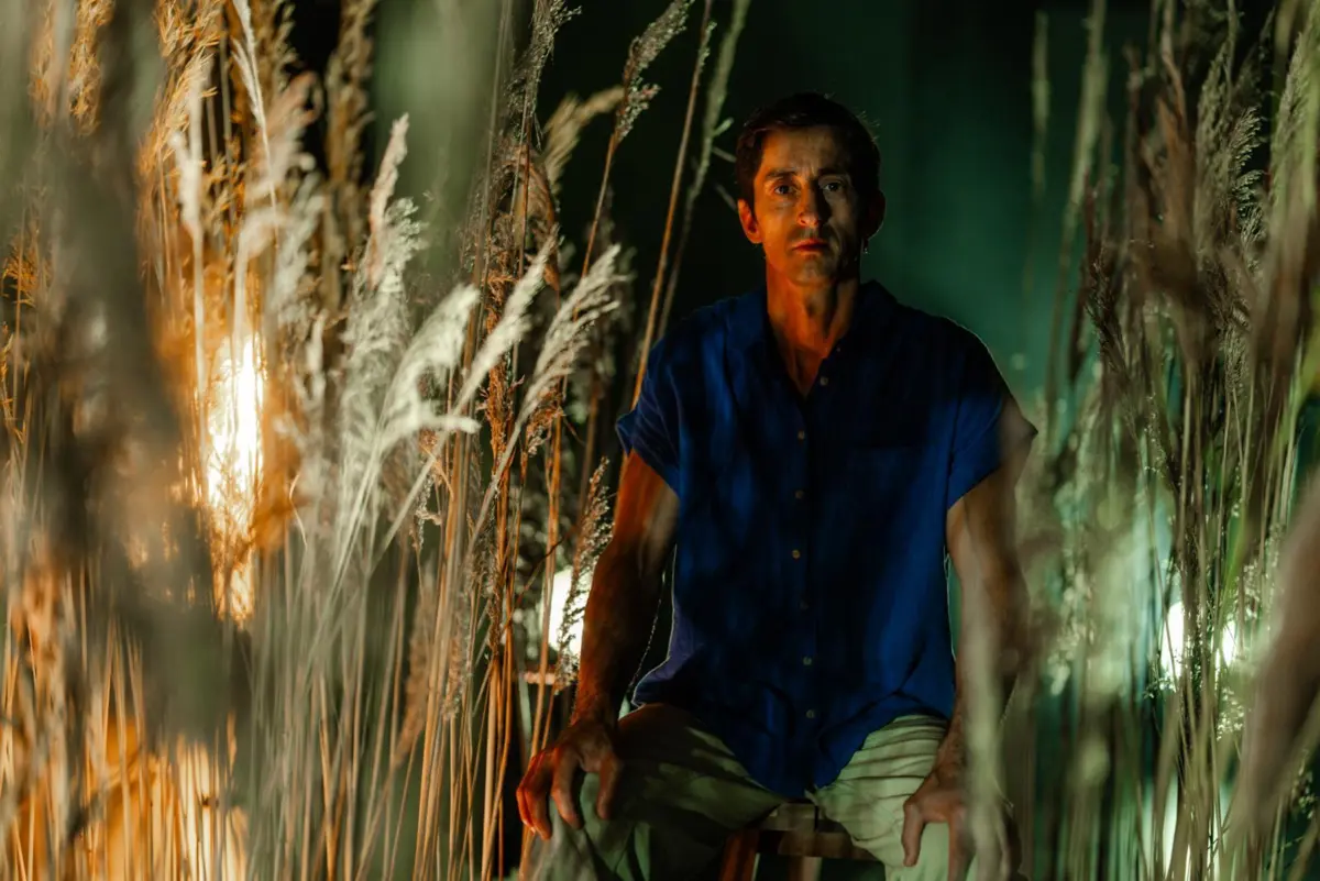 Imagem de contexto do artigo O artista que constrói histórias numa linha vertical