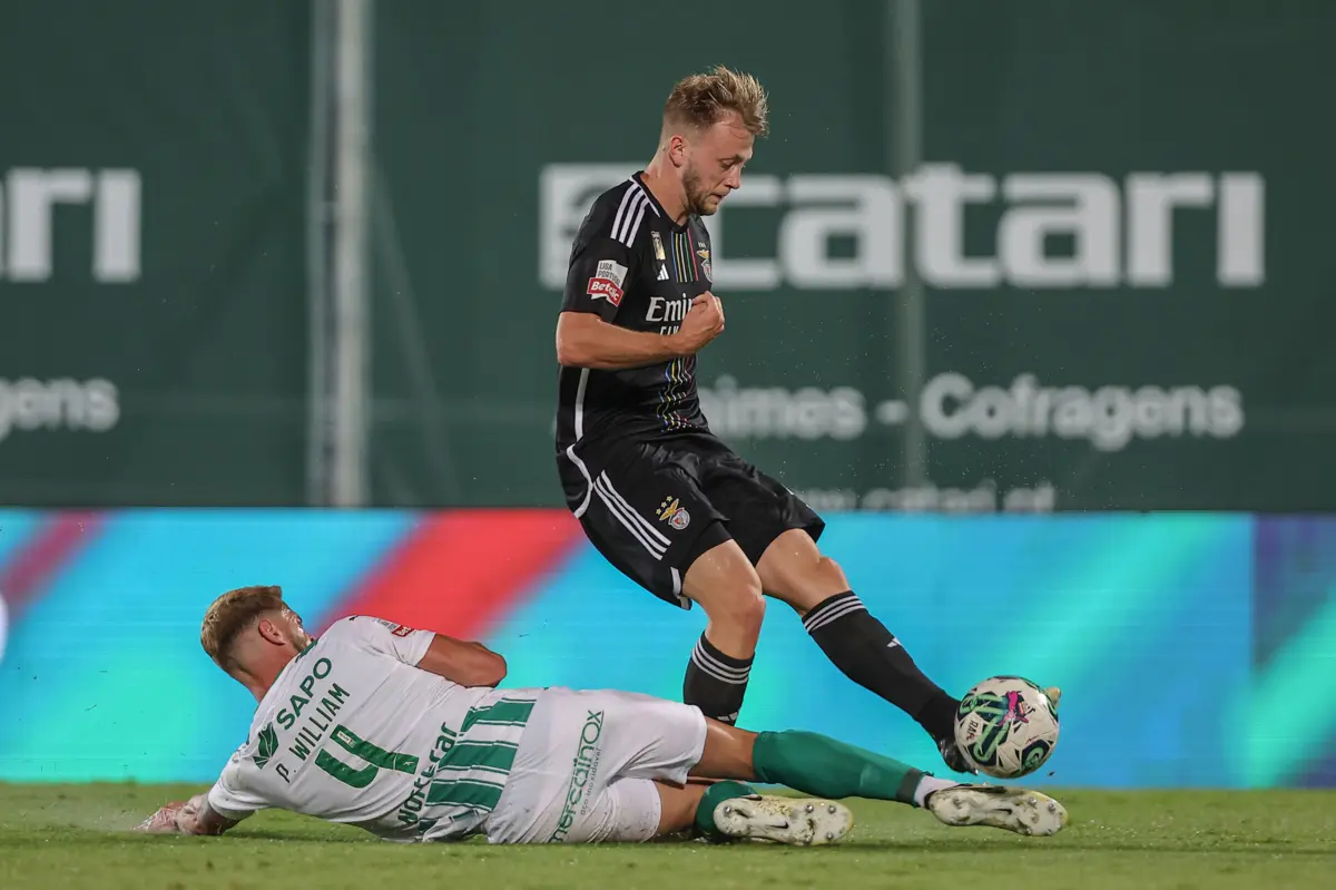 Tengstedt marcou quatro golos ao serviço do Benfica