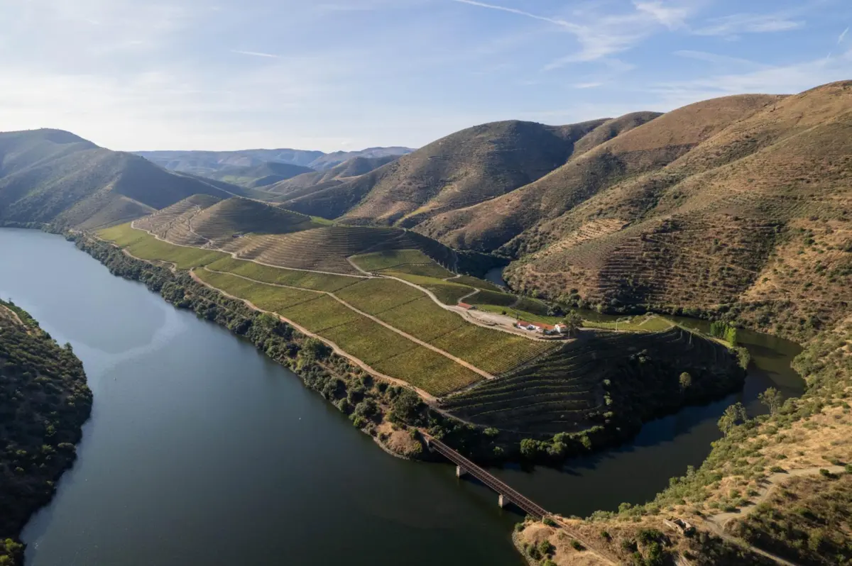 Douro Vinhateiro.