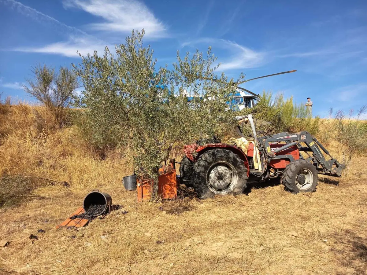 Imagem de contexto do artigo Mulher morre num acidente com trator agrícola em Mogadouro