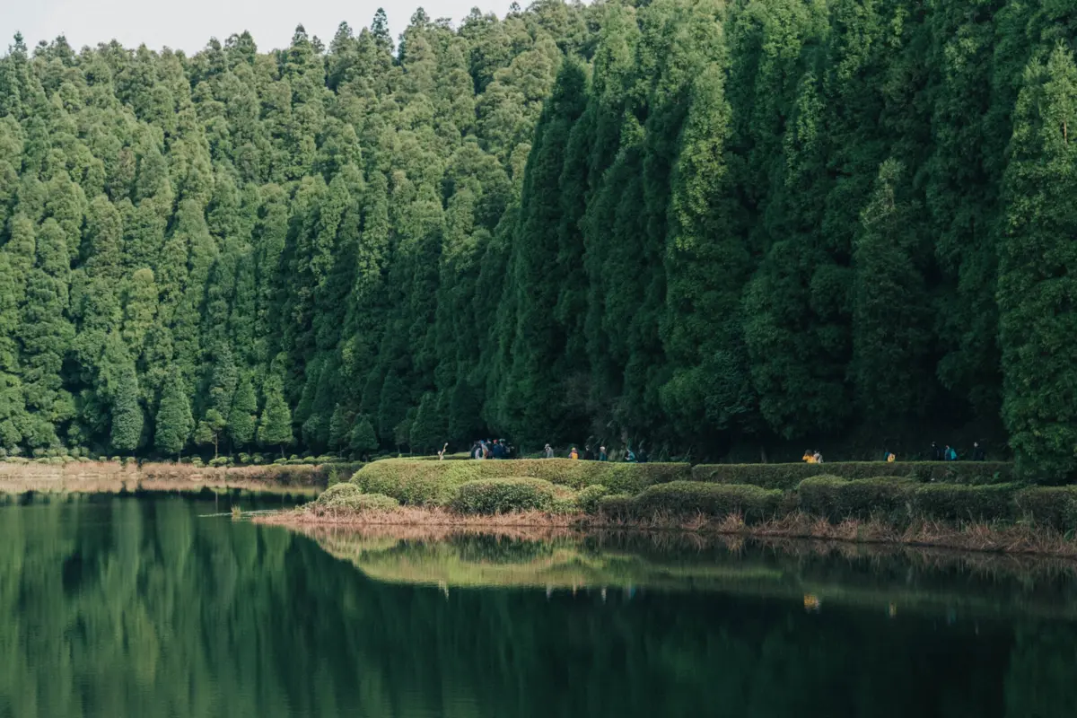 Percursos a locais da ilha são das atividade prediletas