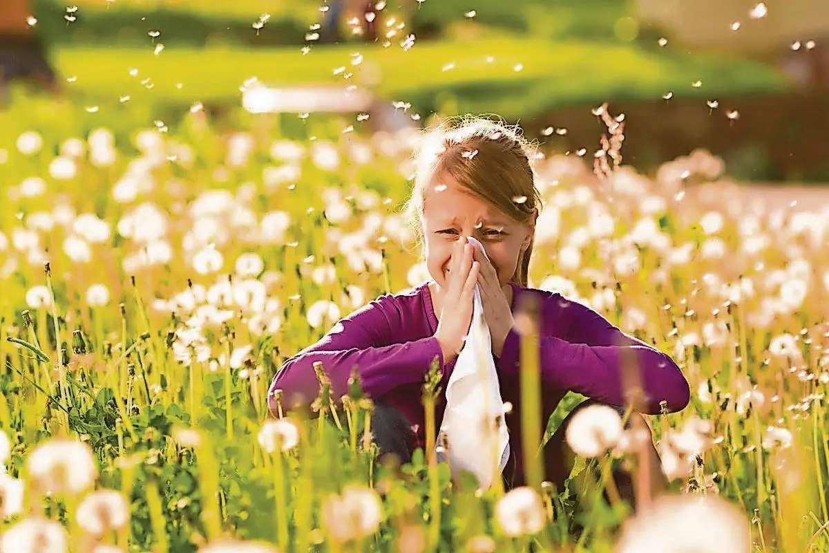 Imagem de contexto do artigo Alergias obrigam pelo menos 5% dos alunos a faltar às aulas