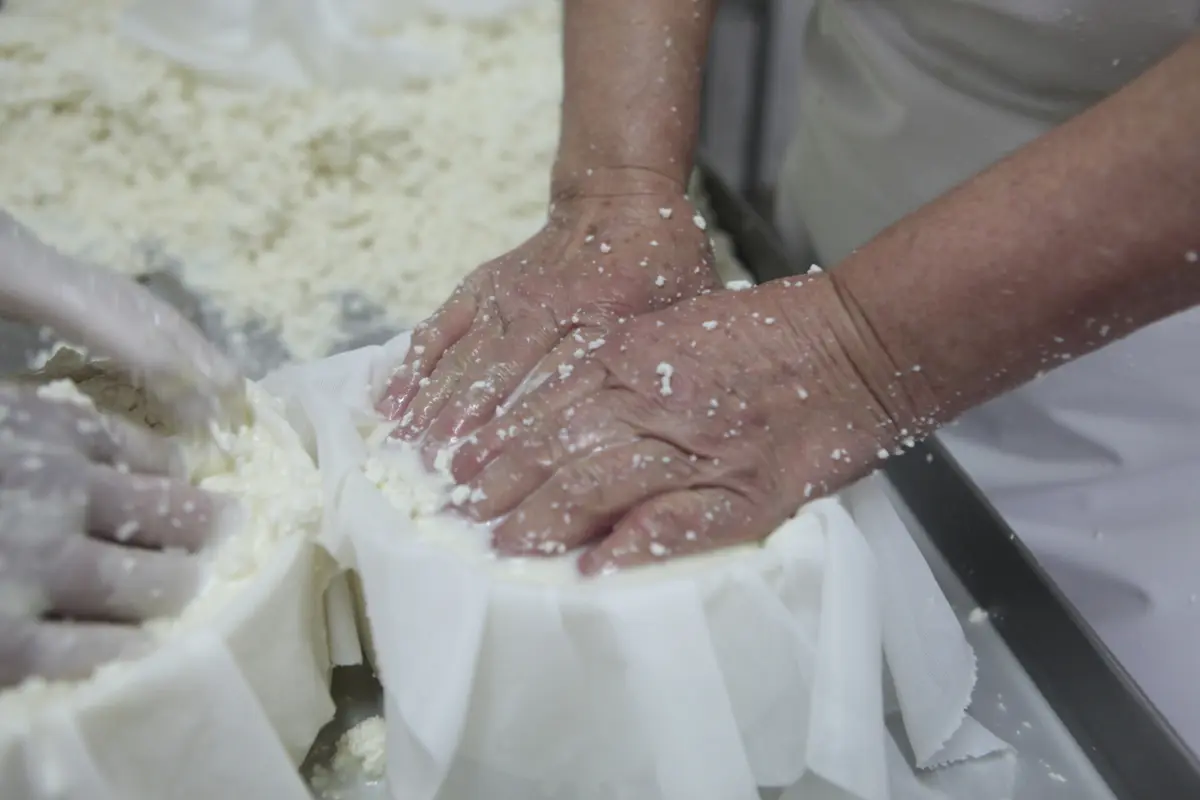 Joaquim Alves sublinha que o mais importante na produção de um queijo é a matéria-prima, ter um bom leite