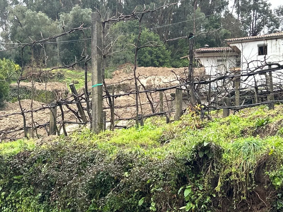 Aluimento de terras atingiu habitação